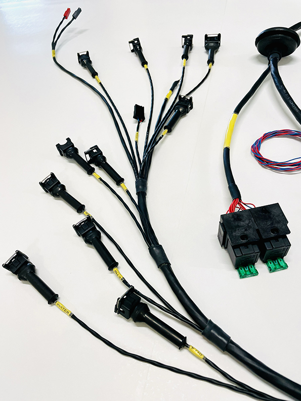 Cosworth EcuMaster CLASSIC ecu & Wiring Loom (Standard Replacement) - immagine 3